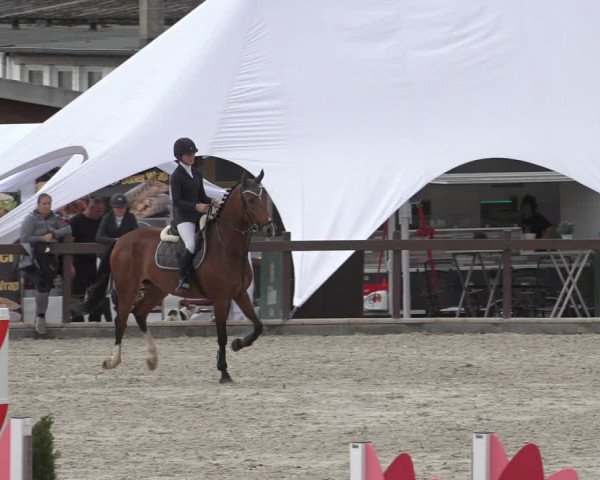 Reitturnier Leichlingen-Witzhelden 2022