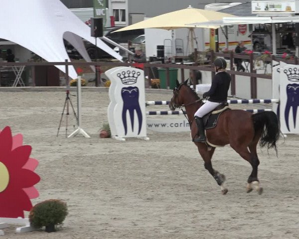 Reitturnier Leichlingen-Witzhelden 2022