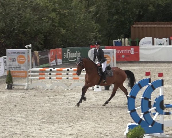 Reitturnier Leichlingen-Witzhelden 2022