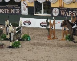 jumper Cadeau Ask (Danish Warmblood, 1998, from Calypso)