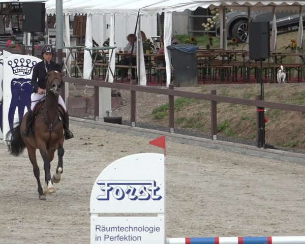 Reitturnier Leichlingen-Witzhelden 2022
