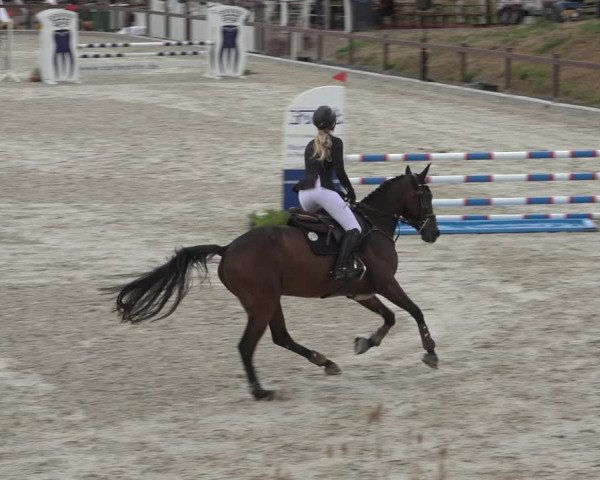 Reitturnier Leichlingen-Witzhelden 2022