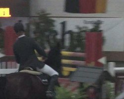 jumper Looping's Girl (Oldenburg, 2001, from Looping)