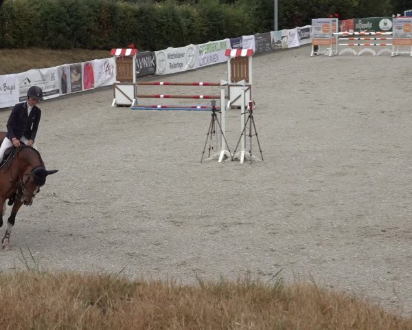 Reitturnier Leichlingen-Witzhelden 2022