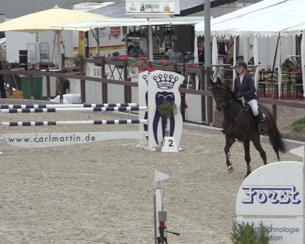 Reitturnier Leichlingen-Witzhelden 2022