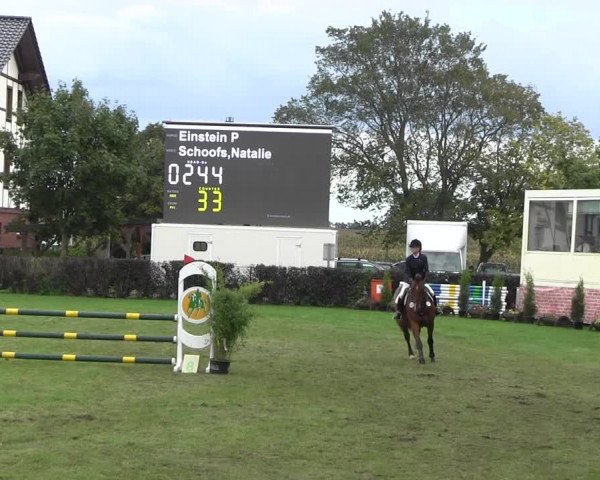 Reitturnier Münchehofe 2022
