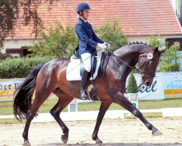 Zuchtstute Bea (Westfale, 1997, von Beltain)