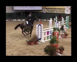 Springpferd Laetizia 10 (Westfale, 2003, von Lancer III)