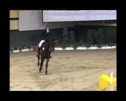 broodmare Allegra-Comtessa (Oldenburg, 2001, from Conterno Grande)