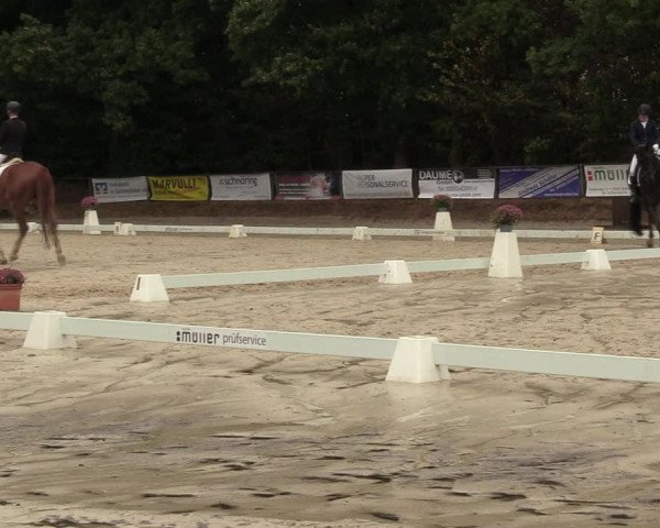 Reitturnier Meinerzhagen 2022