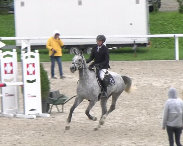 Reitturnier Bülach 2022