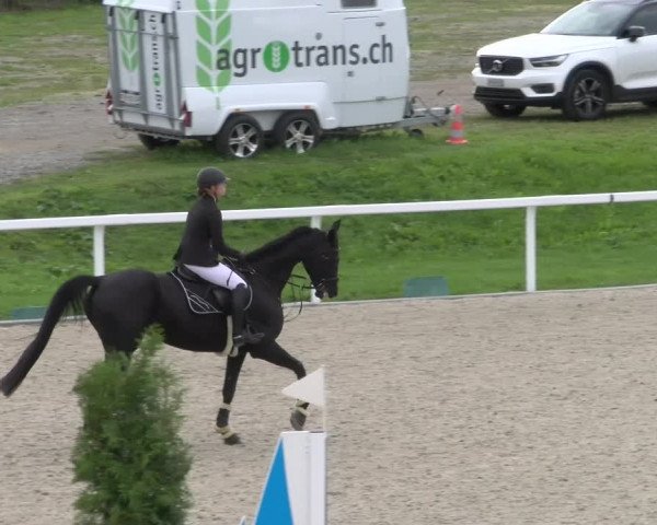 Reitturnier Bülach 2022