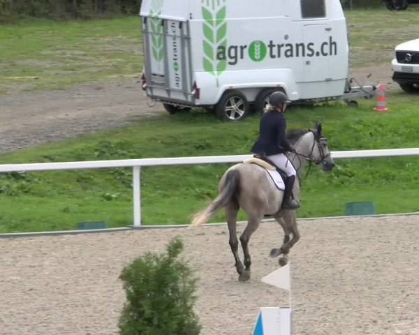 Reitturnier Bülach 2022