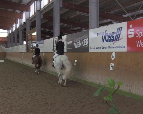 Reitturnier Appelhülsen 2022