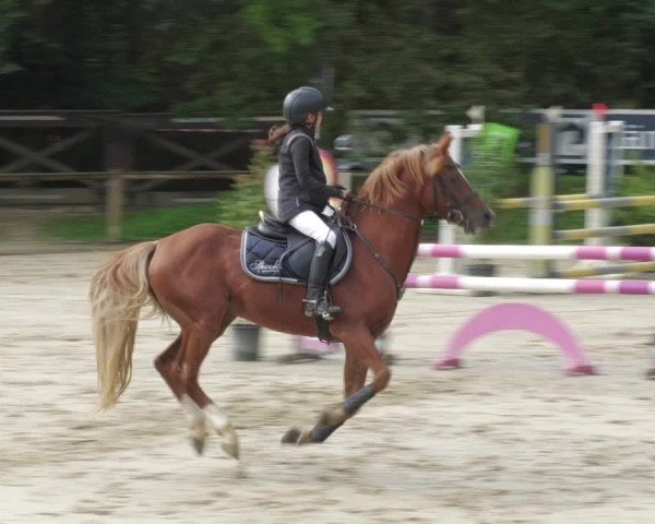 Reitturnier Walldorf/Winterheck 2022