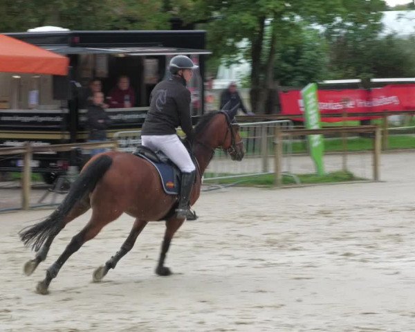 Reitturnier Walldorf/Winterheck 2022
