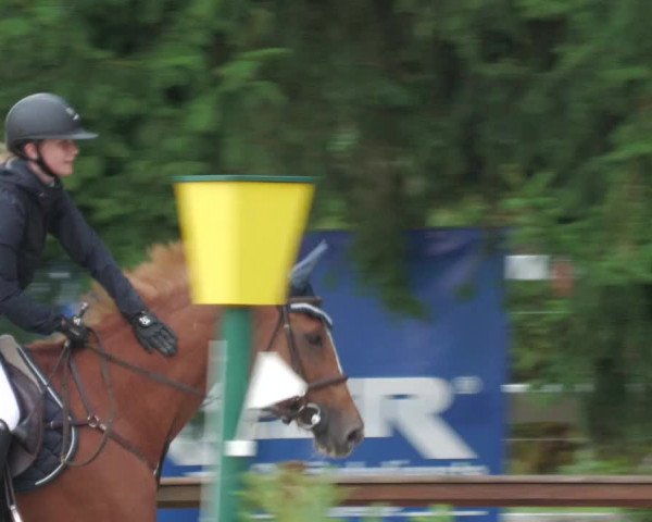 Reitturnier Walldorf/Winterheck 2022