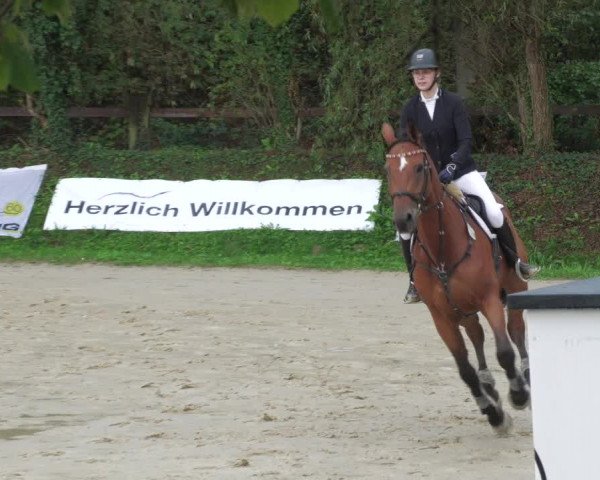 Reitturnier Walldorf/Winterheck 2022