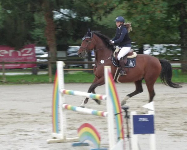 Reitturnier Walldorf/Winterheck 2022
