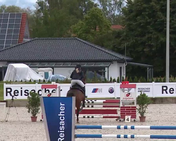 Reitturnier Babenhausen/Schw. 2022