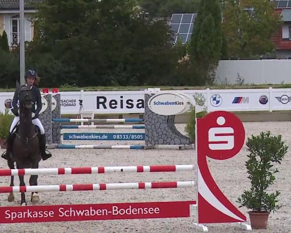 Reitturnier Babenhausen/Schw. 2022