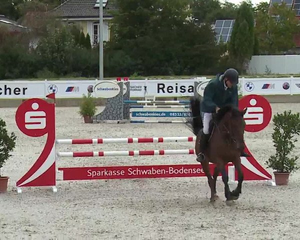 Reitturnier Babenhausen/Schw. 2022