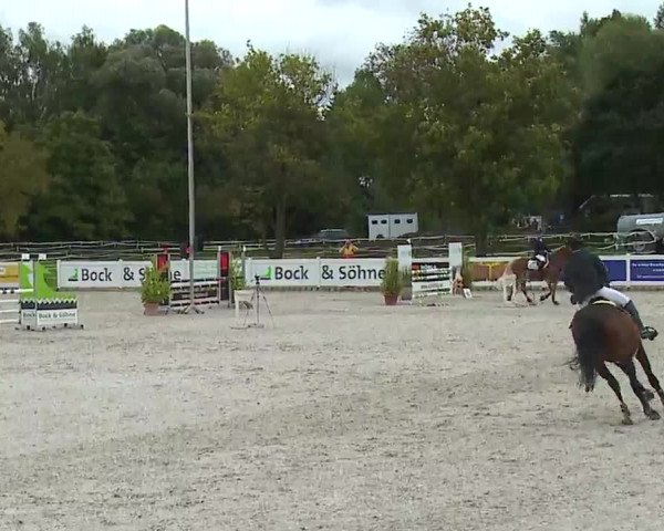 Reitturnier Babenhausen/Schw. 2022