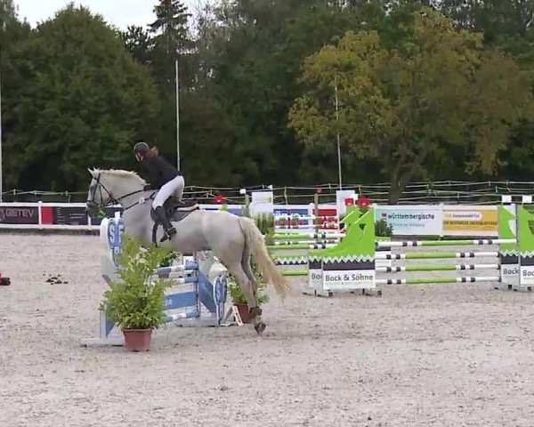 Reitturnier Babenhausen/Schw. 2022