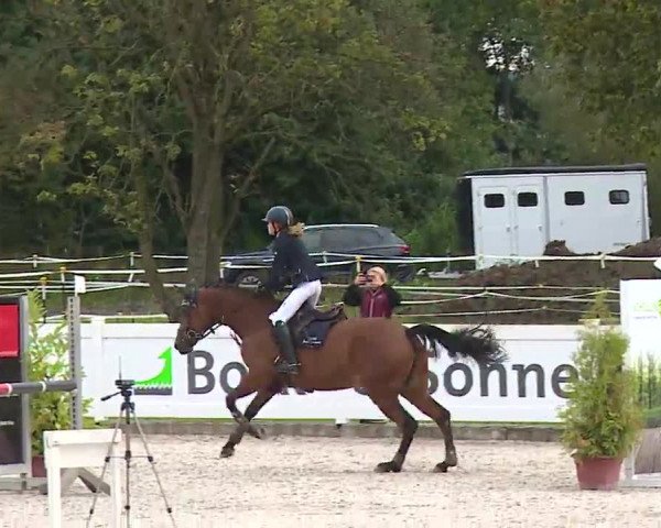 Reitturnier Babenhausen/Schw. 2022