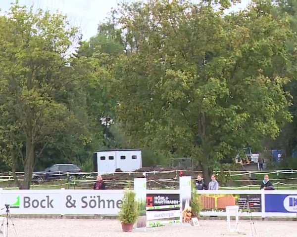 Reitturnier Babenhausen/Schw. 2022