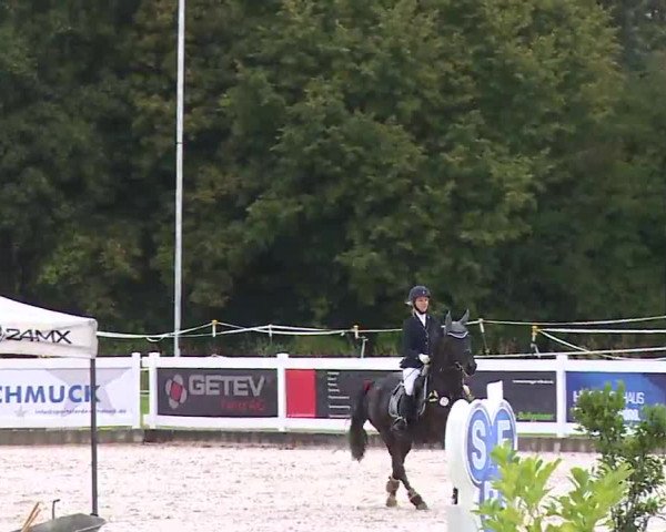 Reitturnier Babenhausen/Schw. 2022