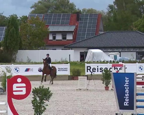 Reitturnier Babenhausen/Schw. 2022