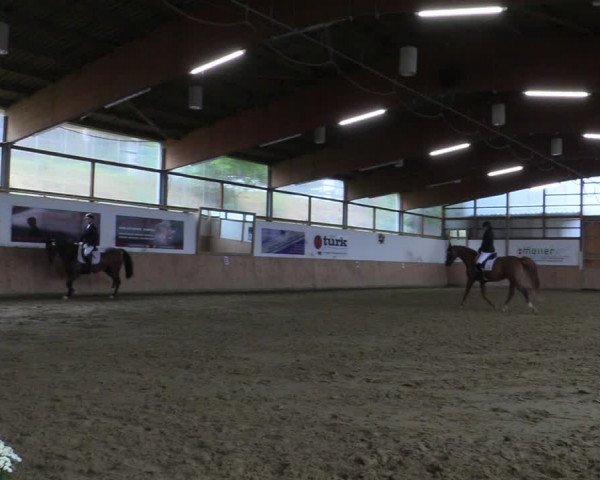 Reitturnier Meinerzhagen 2022