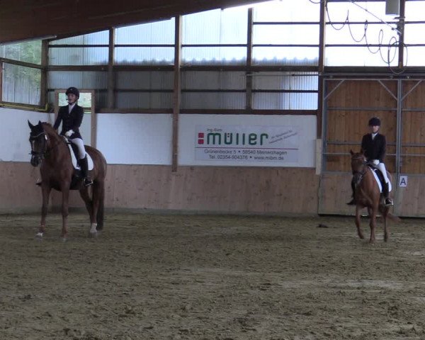 Reitturnier Meinerzhagen 2022