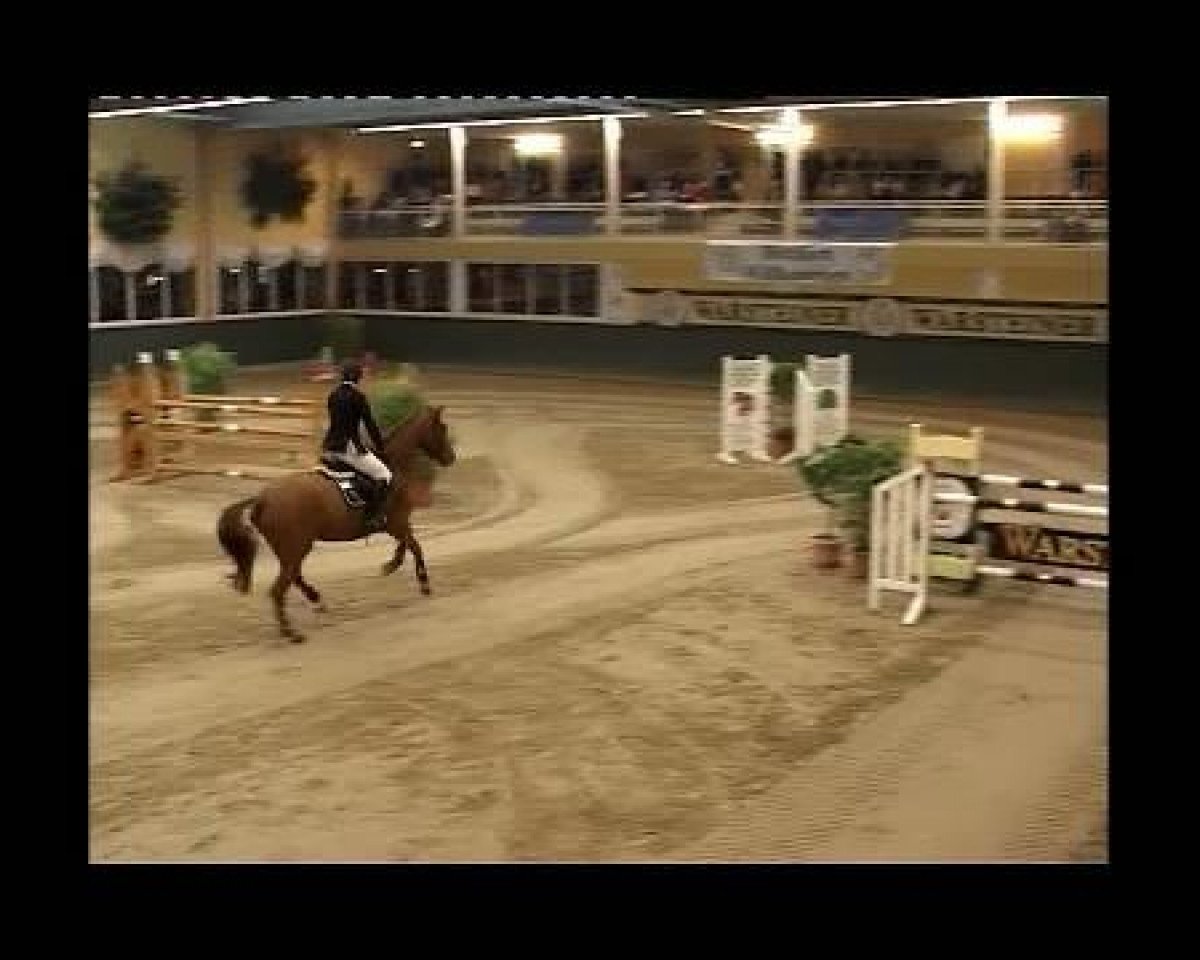 jumper Quentchen Glück 2 (Oldenburg, 2000, from Quattro B)