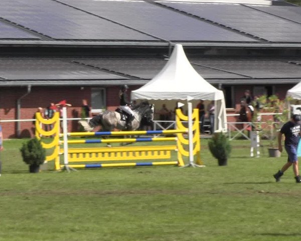 Reitturnier Münchehofe 2022