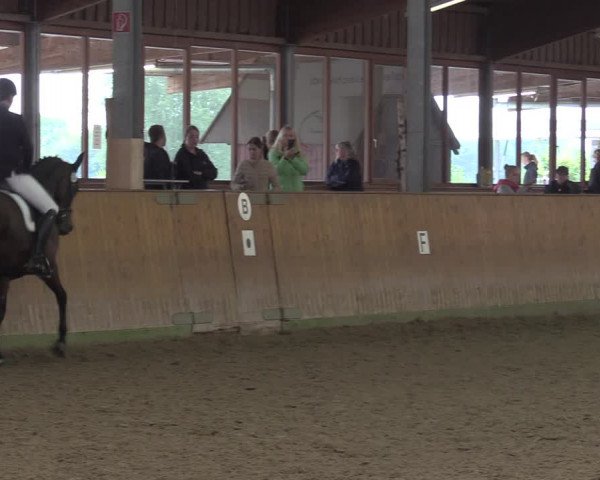 Reitturnier Appelhülsen 2022