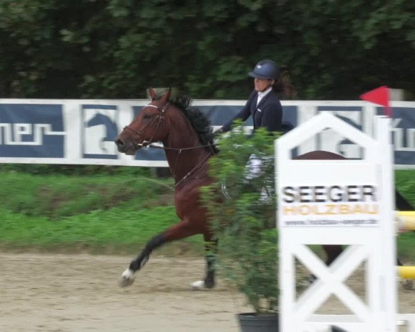 Reitturnier Walldorf/Winterheck 2022