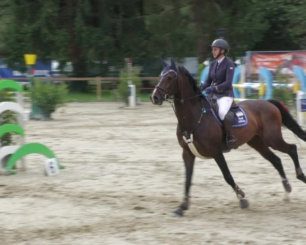 Reitturnier Walldorf/Winterheck 2022