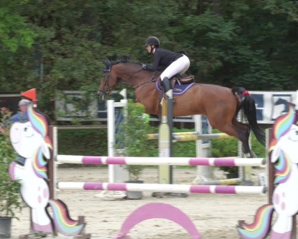 Reitturnier Walldorf/Winterheck 2022