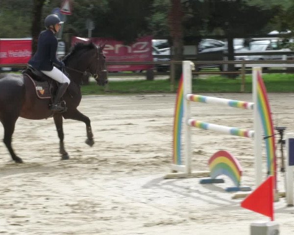 Reitturnier Walldorf/Winterheck 2022