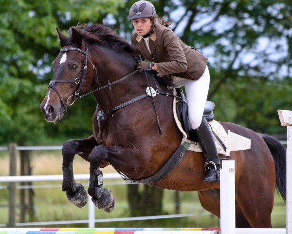 Springhest Landroc (Rhinelander, 1993, fra Lehnsherr GL)