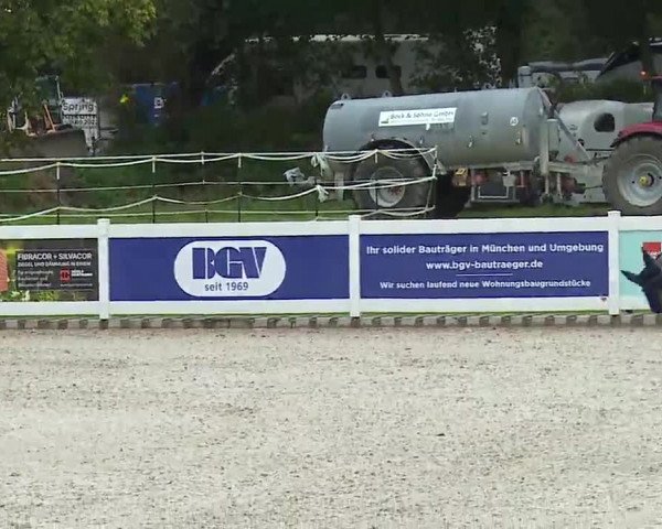 Reitturnier Babenhausen/Schw. 2022