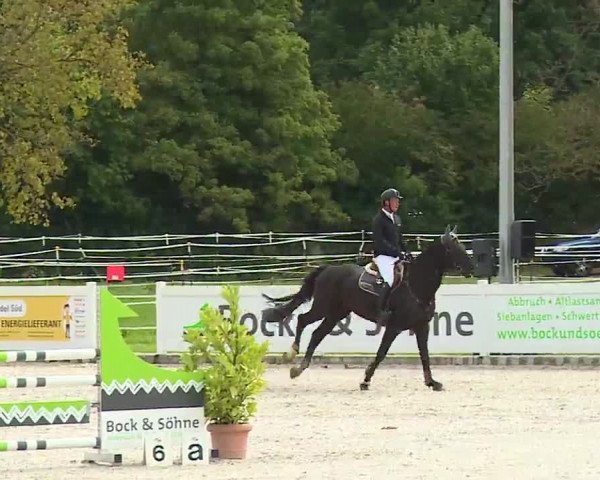 Reitturnier Babenhausen/Schw. 2022