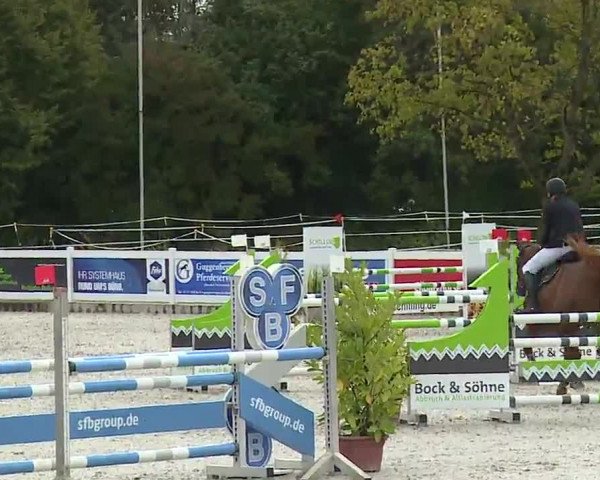 Reitturnier Babenhausen/Schw. 2022
