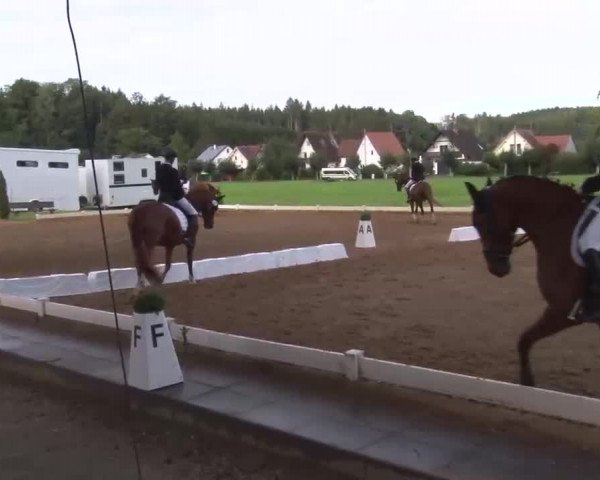 Reitturnier Babenhausen/Schw. 2022