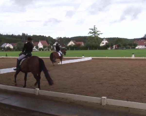 Reitturnier Babenhausen/Schw. 2022