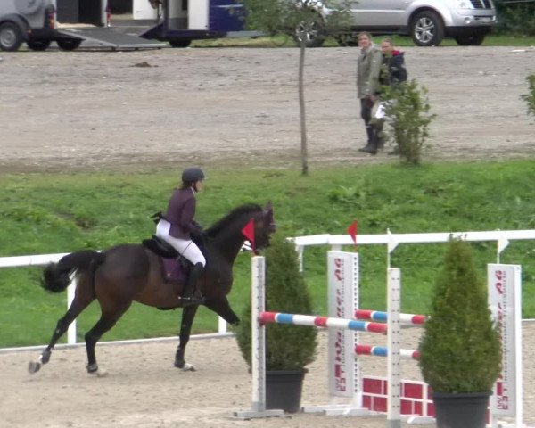 Reitturnier Bülach 2022