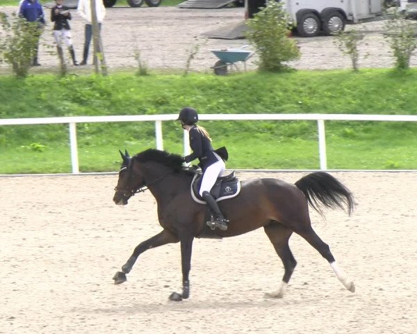 Reitturnier Bülach 2022