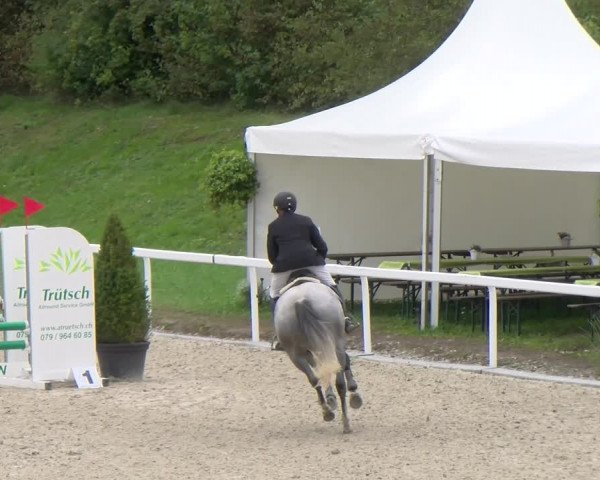 Reitturnier Bülach 2022